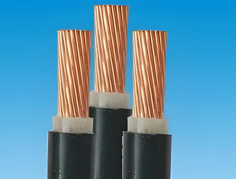 金聯(lián)宇電纜廠(chǎng)家介紹一下特殊電纜和普通電纜的區(qū)別!.jpg
